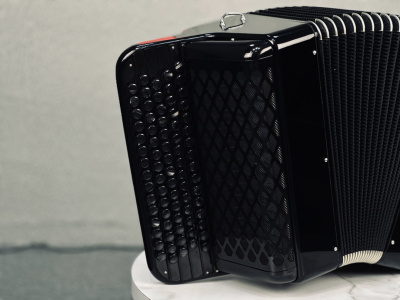 Баян «Уменьшенный» 77/46/80 (черный)