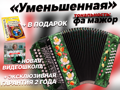 Гармонь "Садко" 25/25 Фа мажор 2 регистра (зеленая)