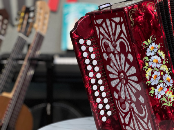 Гармонь "Тульская 301М" До мажор