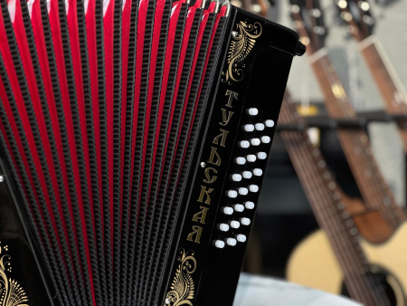 Гармонь "Тульская 301М" до мажор 25/25