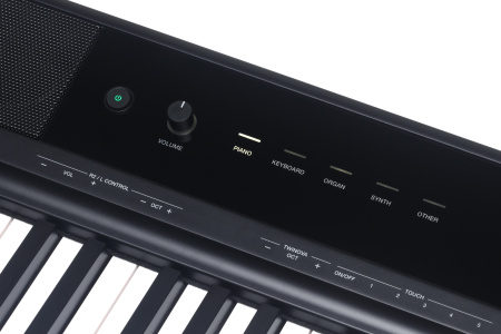 Medeli SP-C120 Цифровое пианино со стойкой, черное