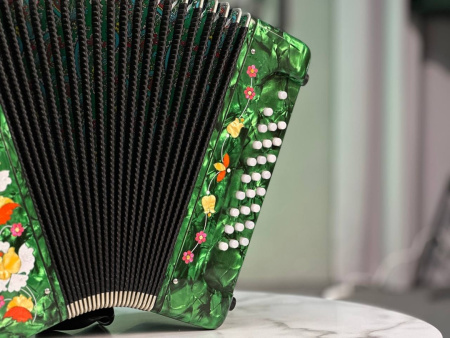 Гармонь "Садко" 25/25 Фа мажор 2 регистра (зеленая)