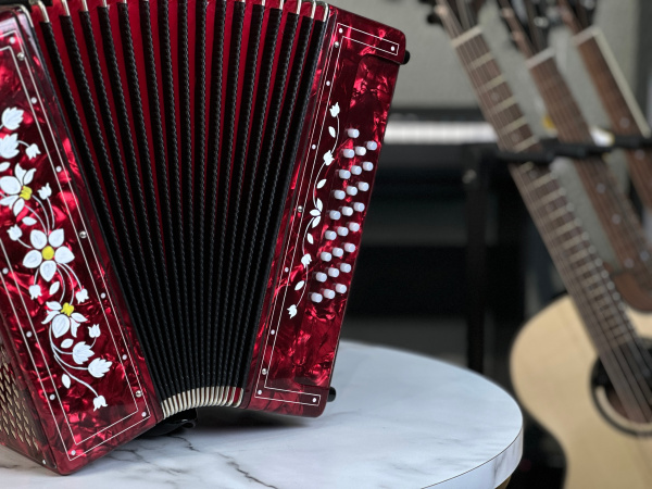 Гармонь "Тульская 301М" ре диез мажор (улучшенная)