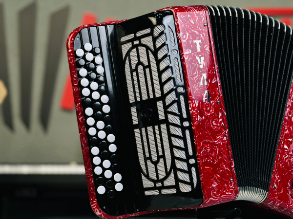 Баян "Уменьшенный" 46/80