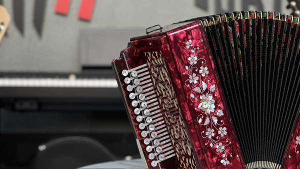 Гармонь "Заказная" 25/25 ре диез мажор