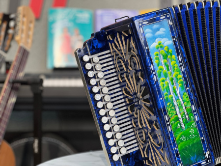 Гармонь "Куликово Поле" ре диез // 27/25