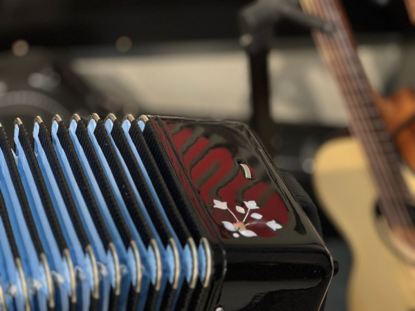 Гармонь "Многотембровая" до мажор // 27/25