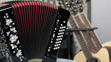 Гармонь «Заказная» 27/25 фа мажор