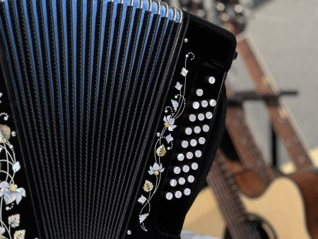 Гармонь "Многотембровая" до мажор // 27/25