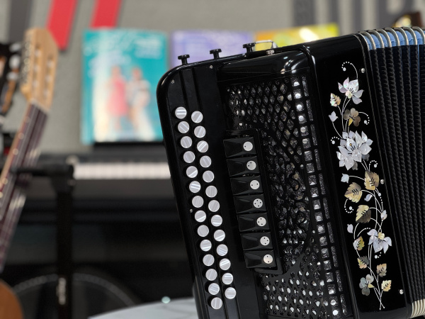 Гармонь "Многотембровая" до мажор // 27/25