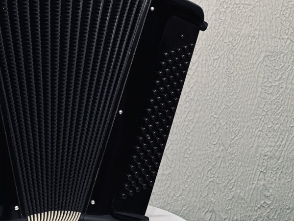 Баян «Уменьшенный» 77/46/80 (черный)