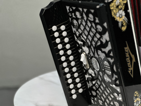 "Чайка - 314" ля мажор // 2 регистра