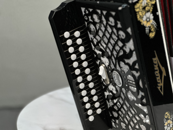 "Чайка - 314" ля мажор // 2 регистра