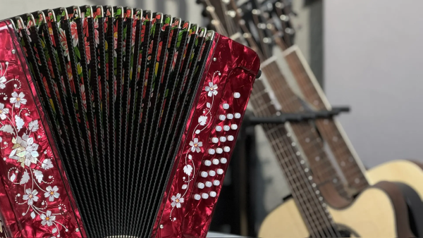 Гармонь "Заказная" 25/25 ре диез мажор