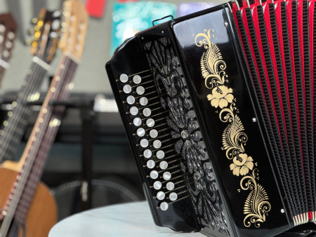 Гармонь "Тульская 301М" до мажор 25/25