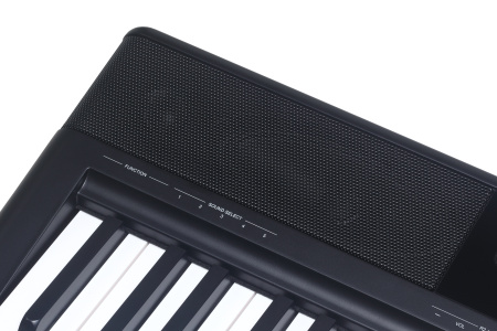 Medeli SP-C120 Цифровое пианино со стойкой, черное