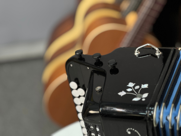 Гармонь "Многотембровая" до мажор // 27/25